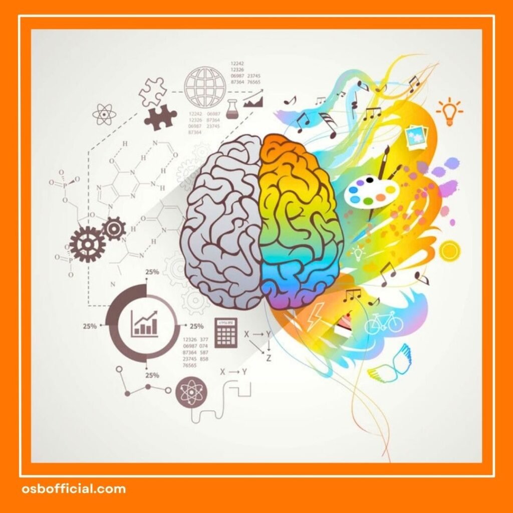 Fungsi Otak Kiri dan Otak kanan