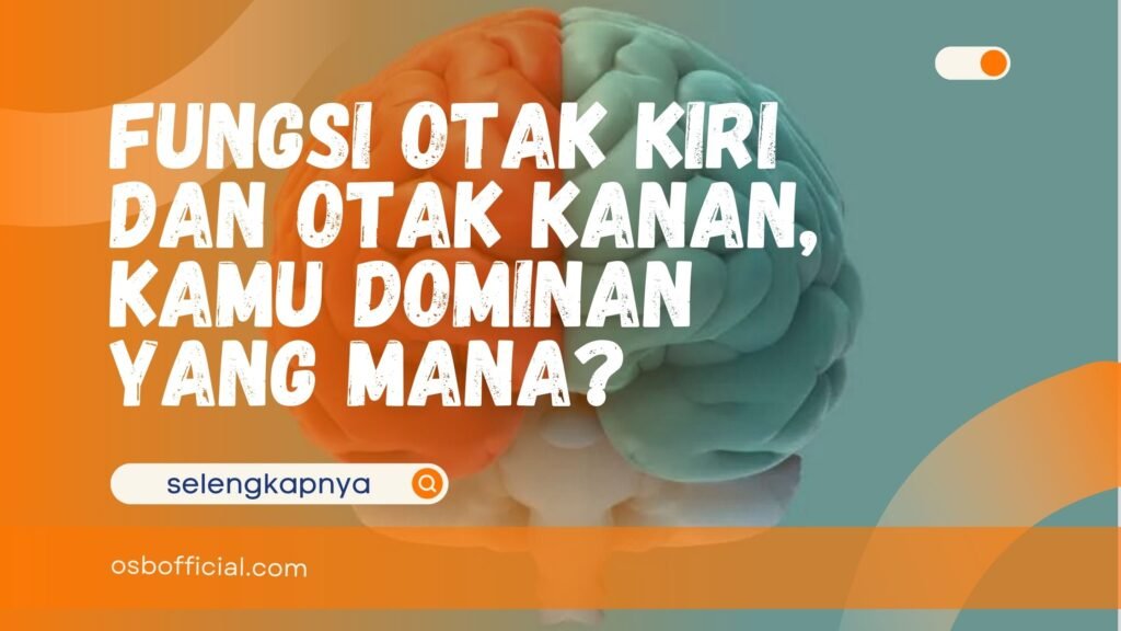 Fungsi Otak Kiri dan Otak kanan