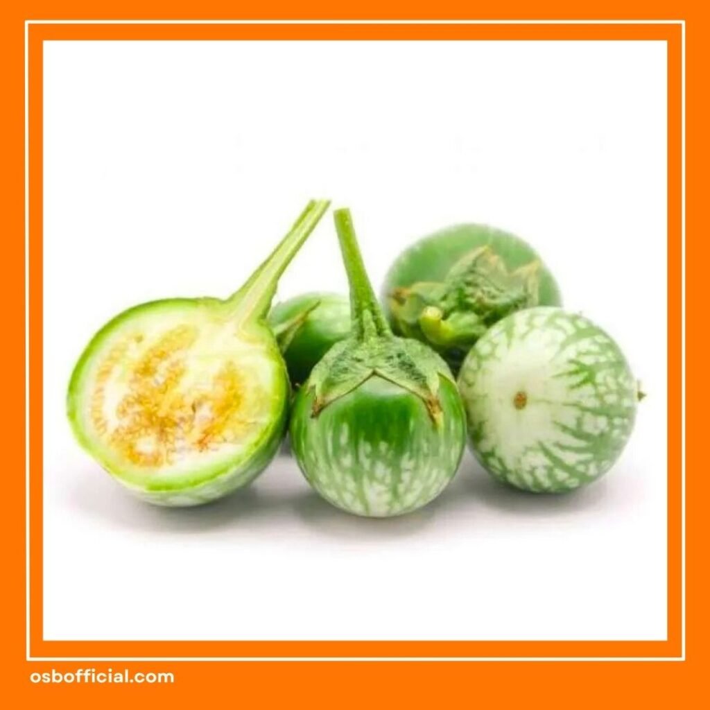 Terong Bulat untuk Otak