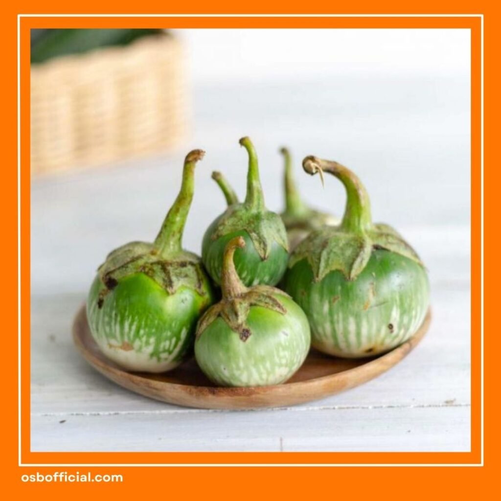 Terong Bulat untuk Otak