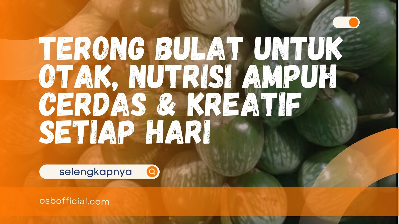 Terong Bulat untuk Otak, Nutrisi Ampuh Cerdas & Kreatif