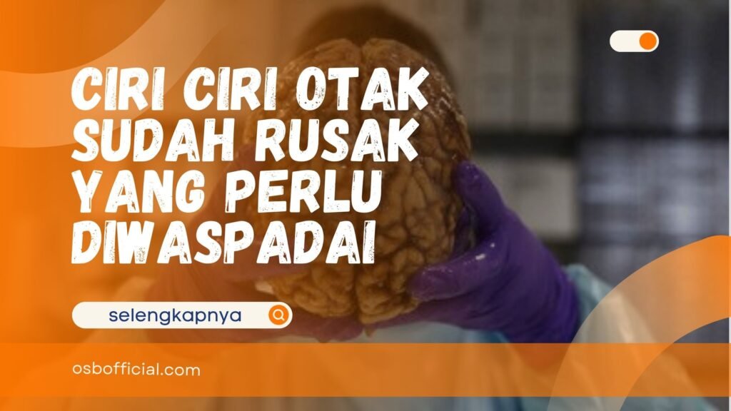 Ciri Ciri Otak Sudah Rusak