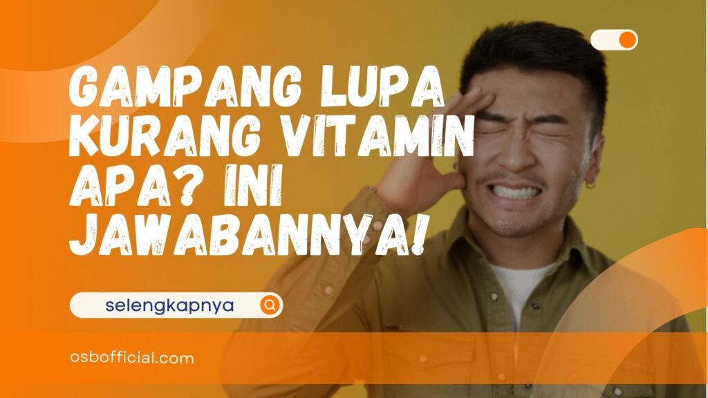 Gampang Lupa Kurang Vitamin Apa