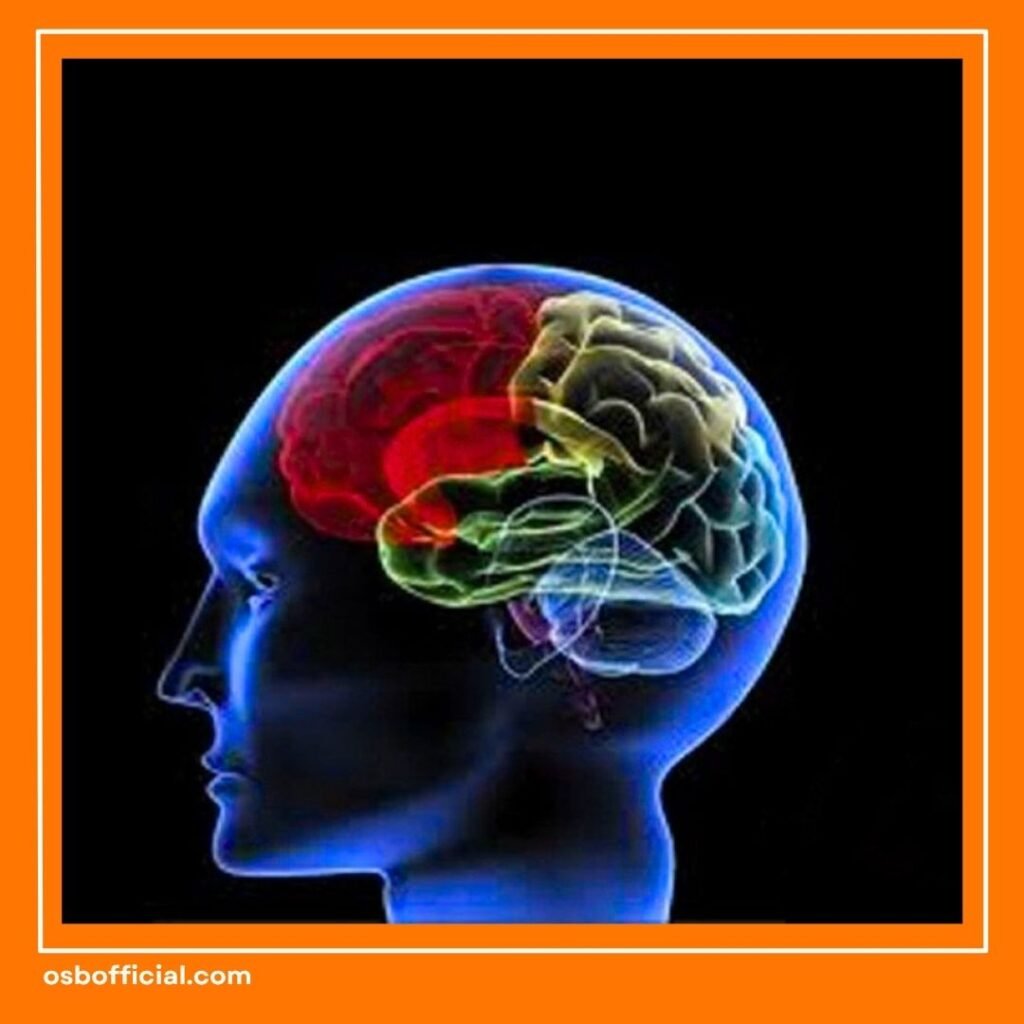 Otak Kanan Lebih Dominan