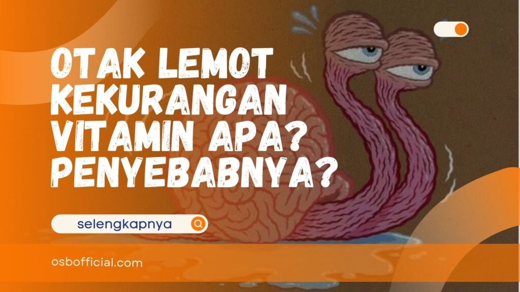 Otak Lemot Kekurangan Vitamin Apa