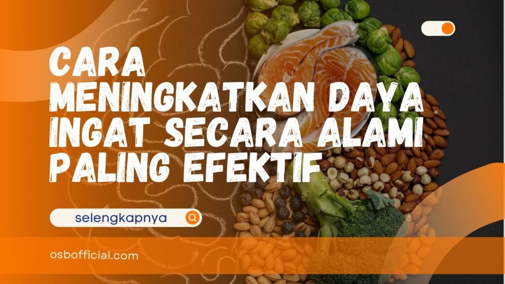 Cara Meningkatkan Daya Ingat Secara Alami