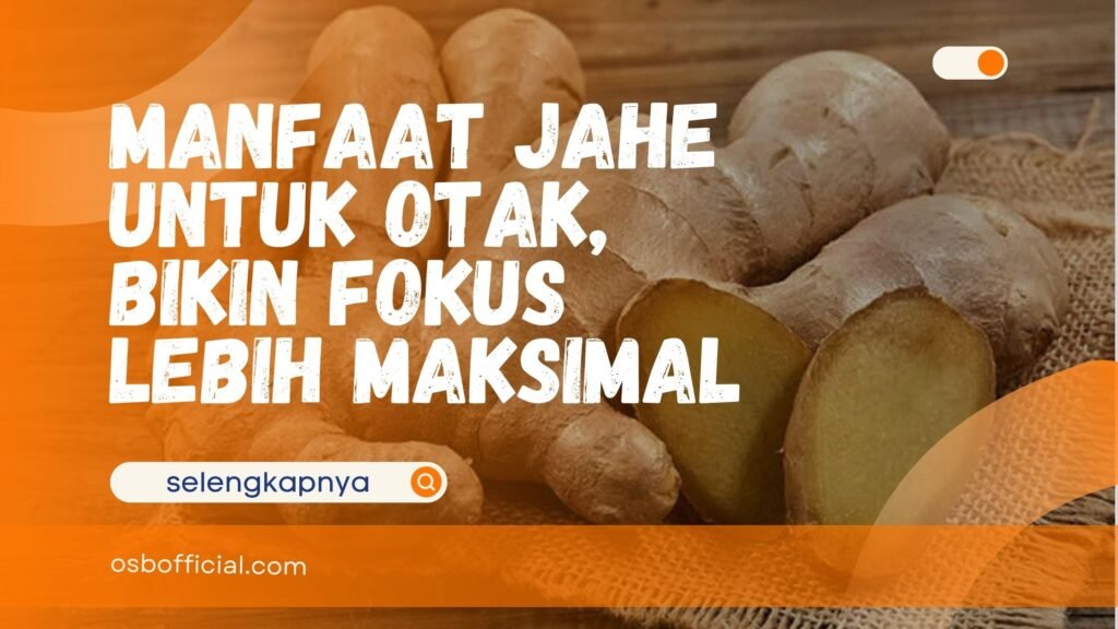 Manfaat Jahe untuk Otak