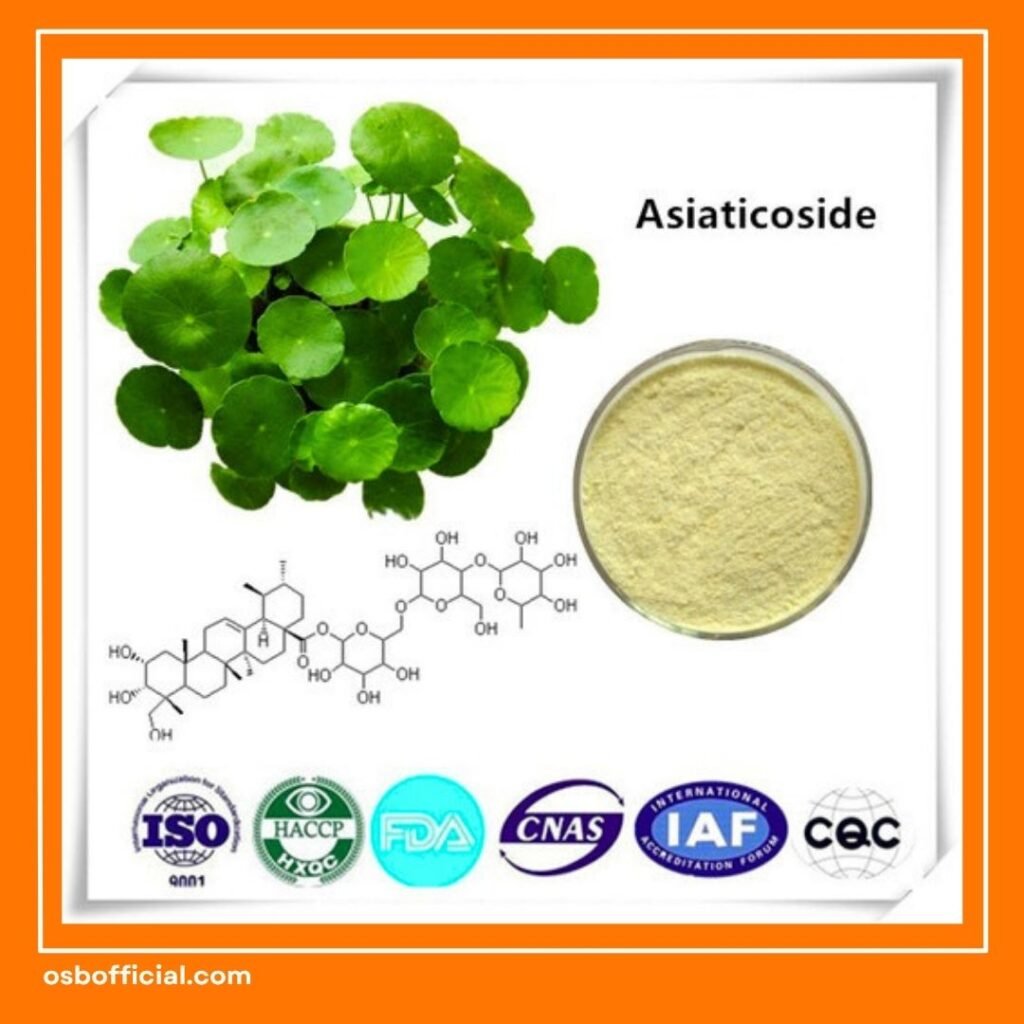 Manfaat Pegagan untuk Otak