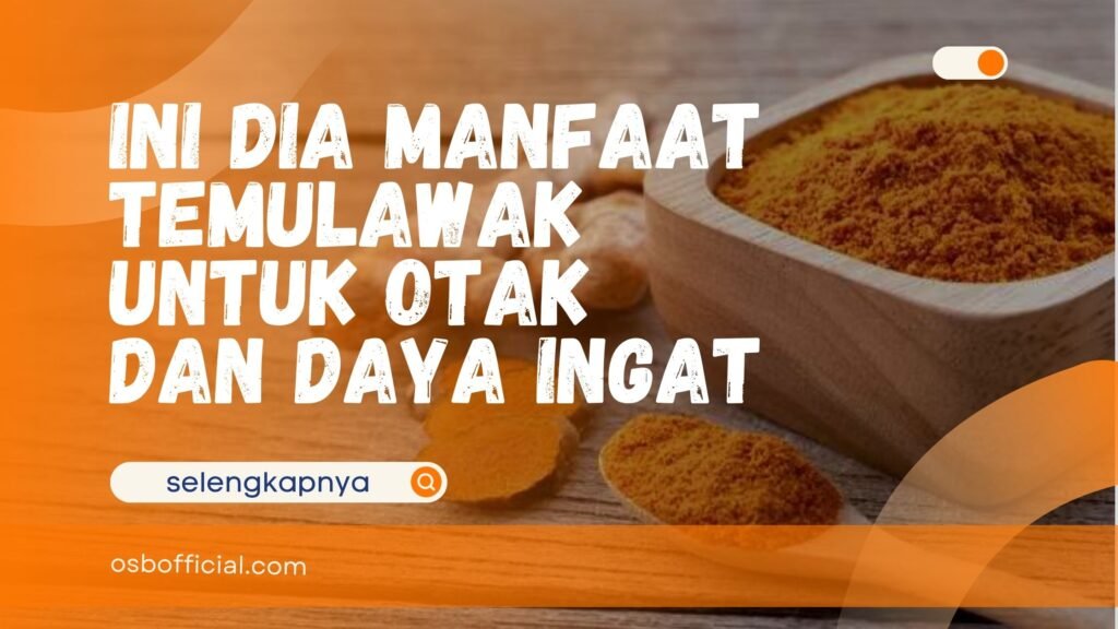 Manfaat Temulawak untuk Otak