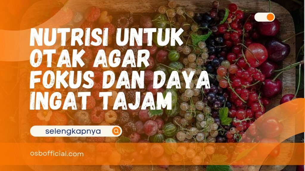 Nutrisi untuk Otak