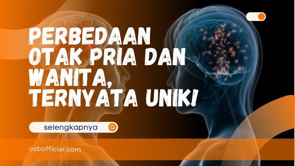 Perbedaan Otak Pria dan Wanita