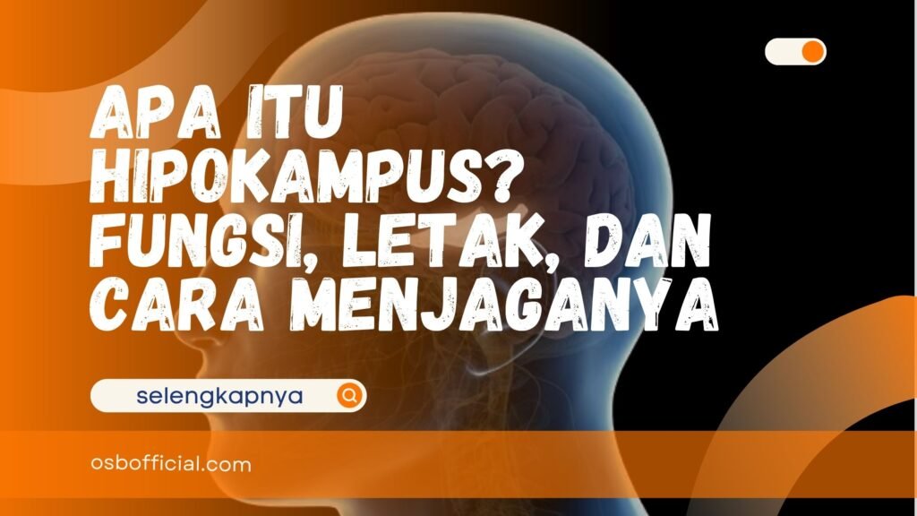 Apa Itu Hipokampus