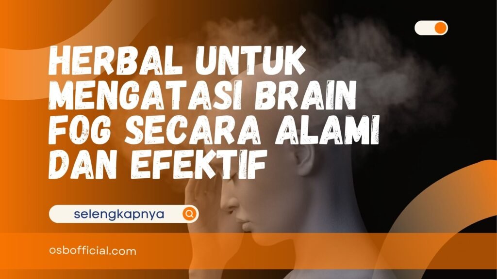 Herbal untuk Mengatasi Brain Fog