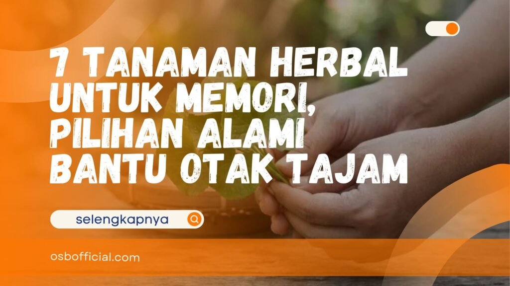 Tanaman Herbal untuk Memori
