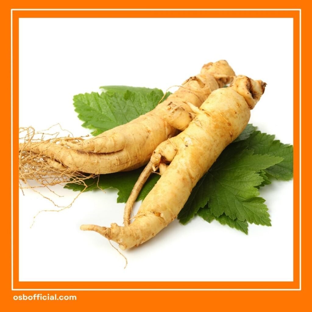 Vitamin Otak Alami dari Bahan Herbal