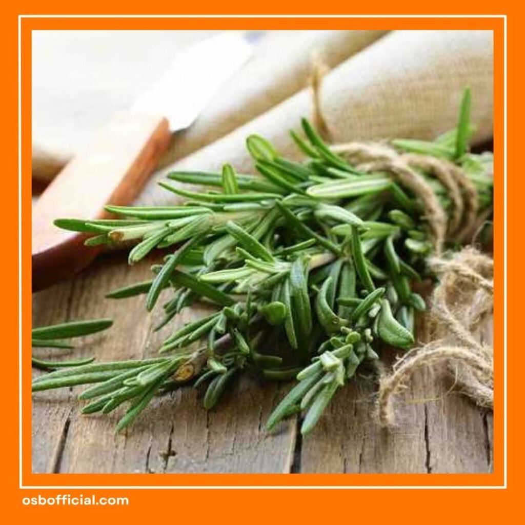 Vitamin Otak Alami dari Bahan Herbal