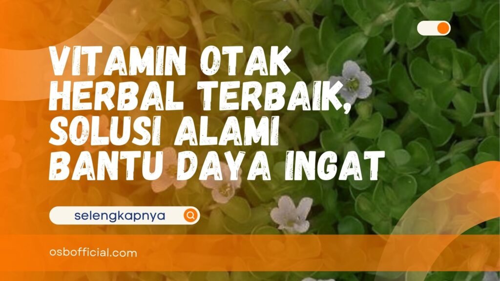 Vitamin Otak Herbal Terbaik