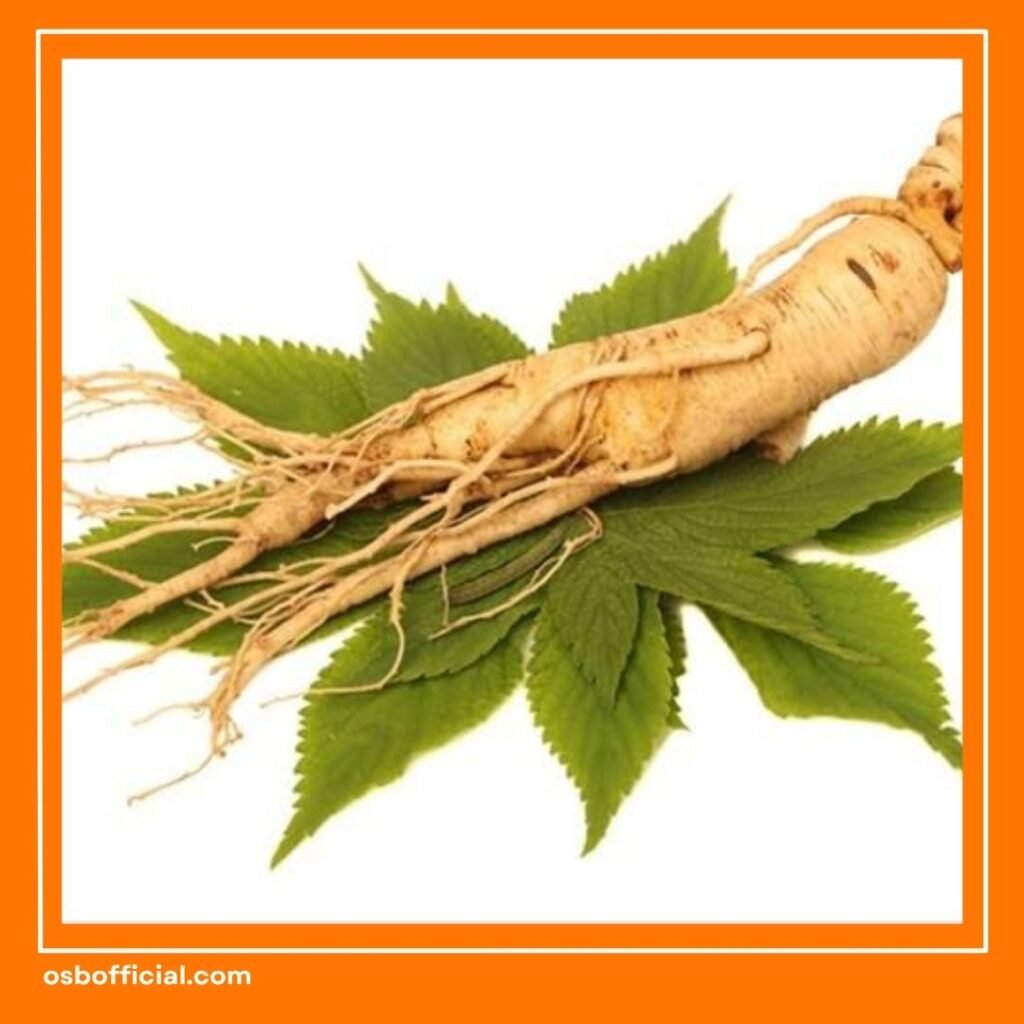 Vitamin Otak Herbal Terbaik