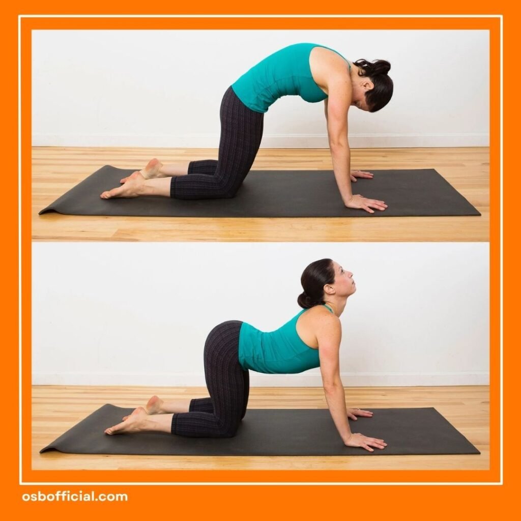 Yoga di Rumah