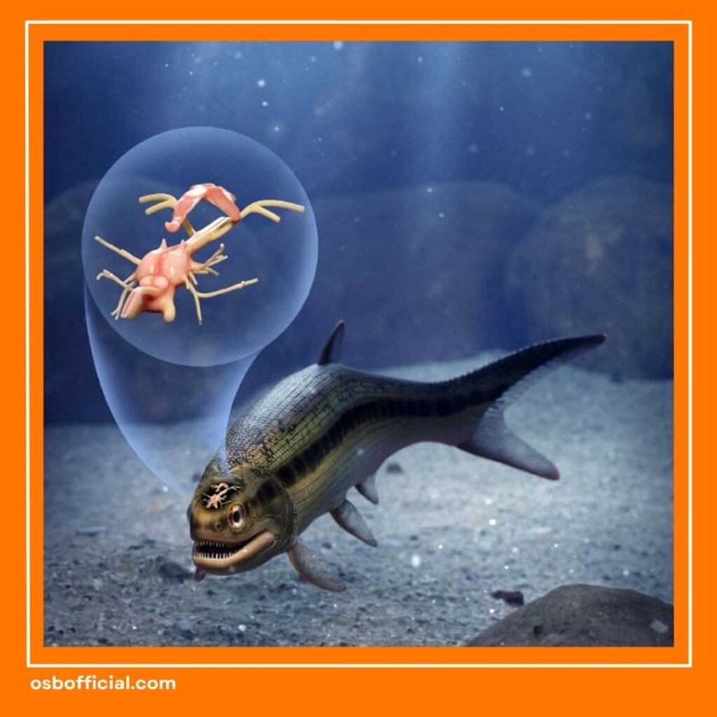 Apakah Ikan Punya Otak