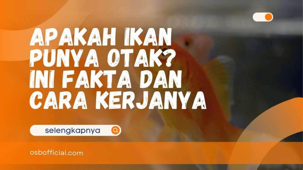 Apakah Ikan Punya Otak
