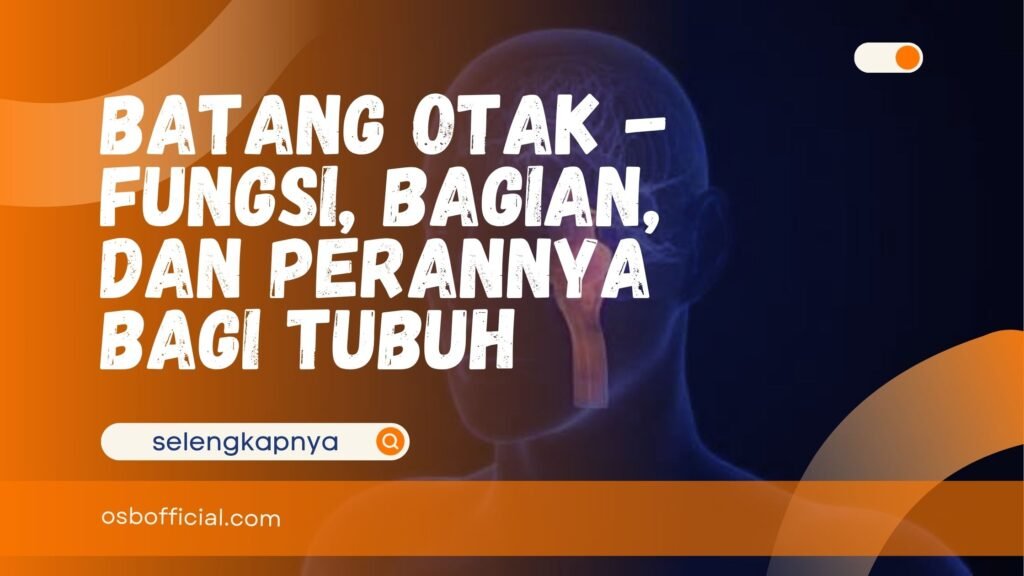 Batang Otak