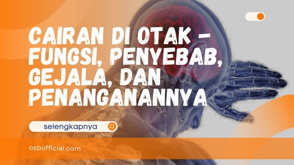 Cairan di Otak