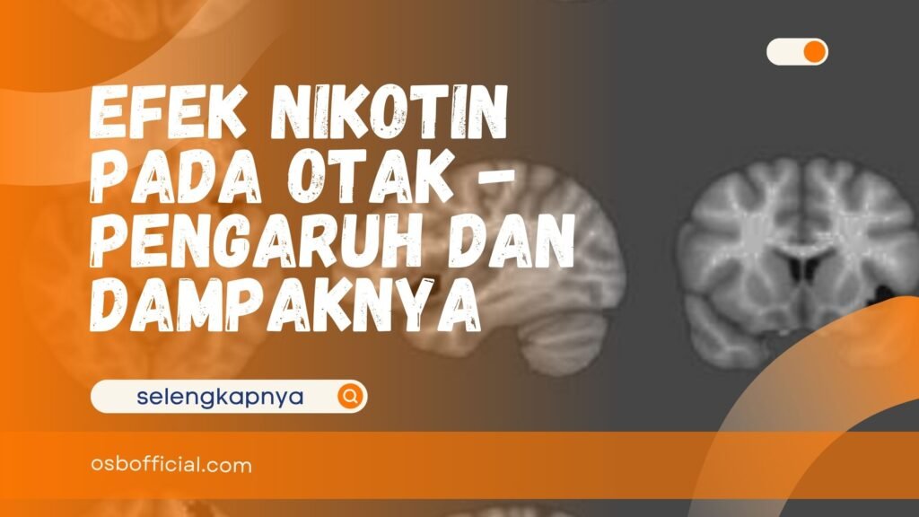 Efek Nikotin pada Otak