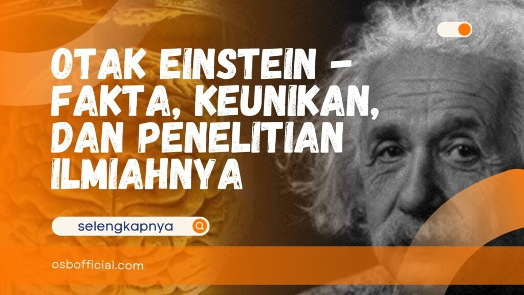 Otak Einstein