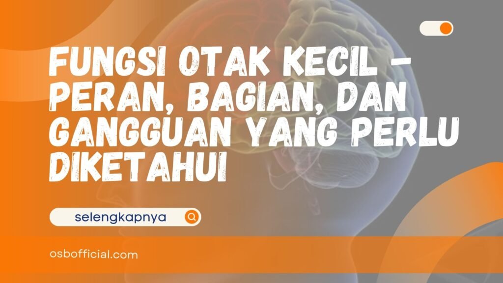 fungsi otak kecil