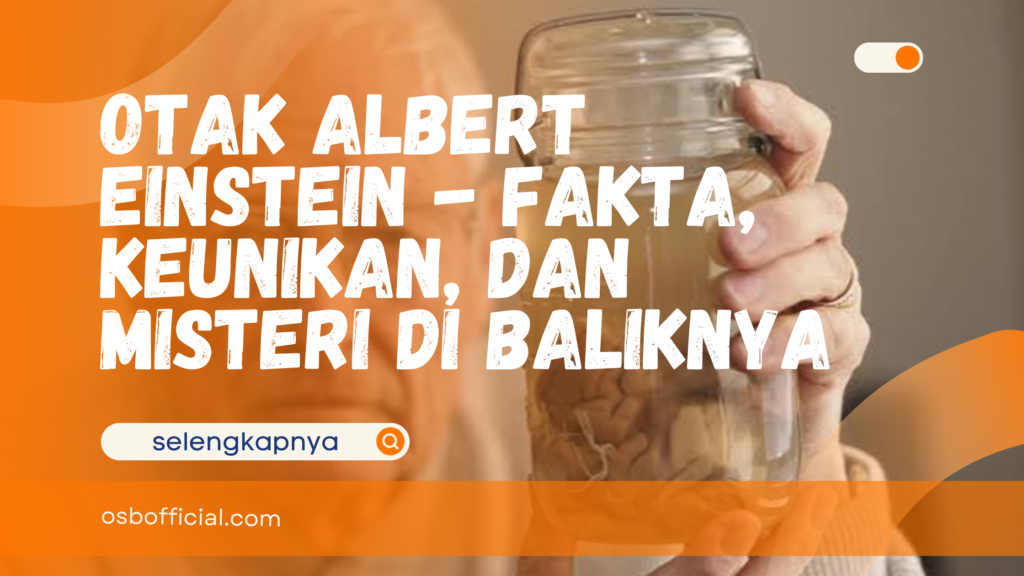 otak albert einstein