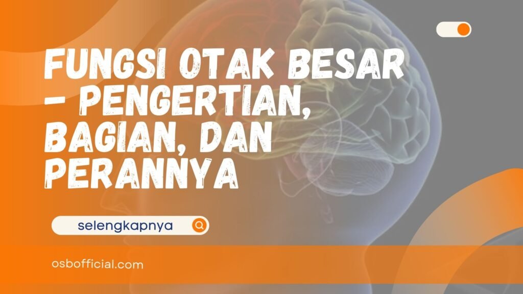 fungsi otak besar