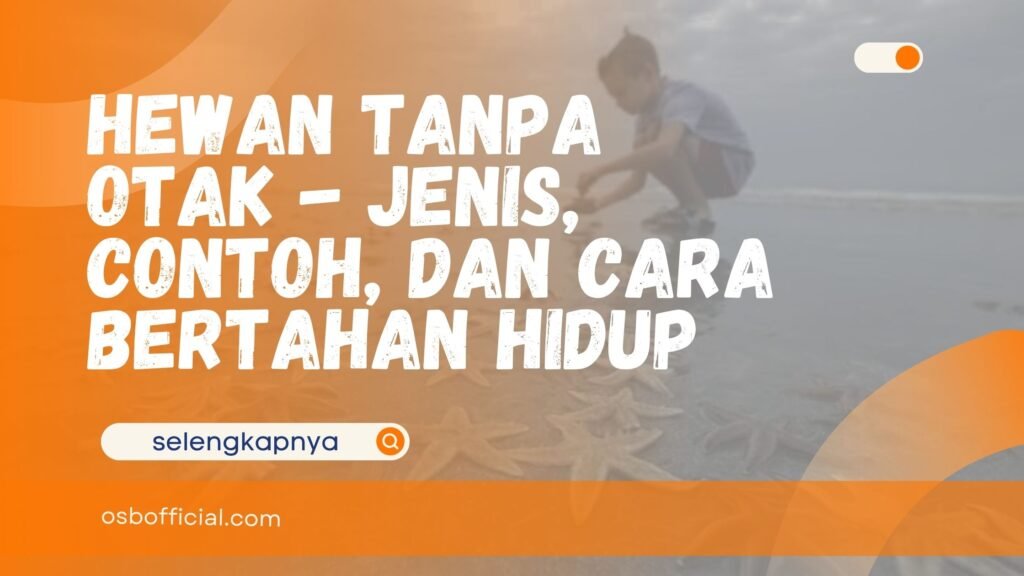 hewan tanpa otak