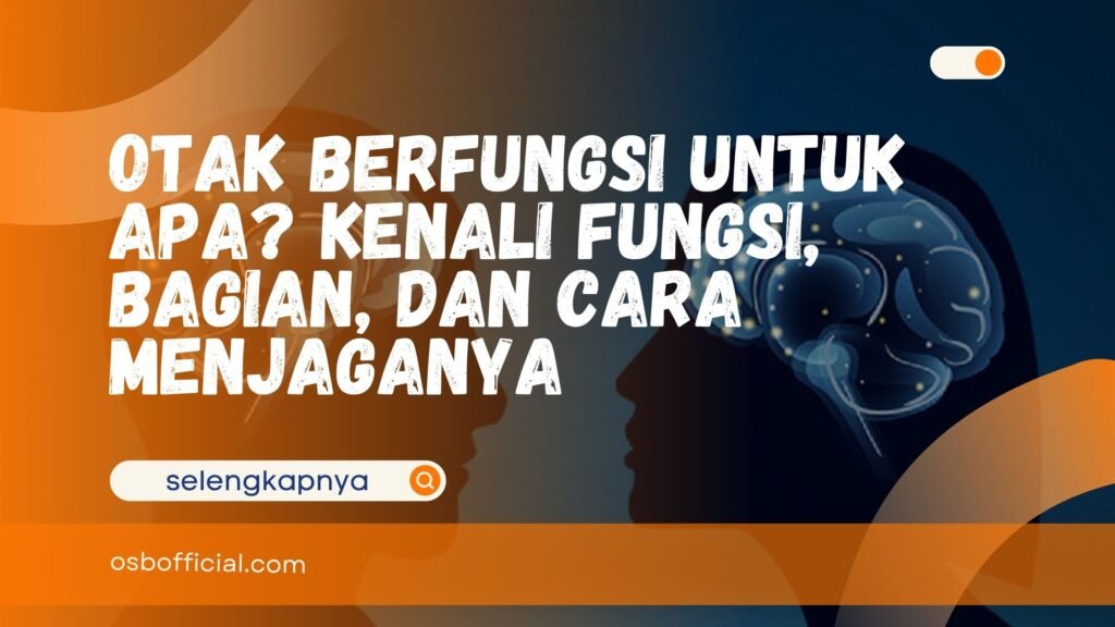 otak berfungsi untuk