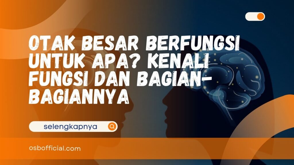 otak besar berfungsi